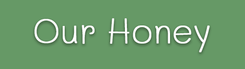 Our Honey products